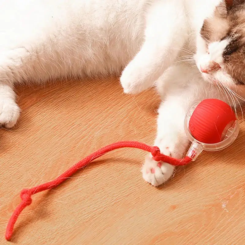 Electric Cat Ball Toys Automatic