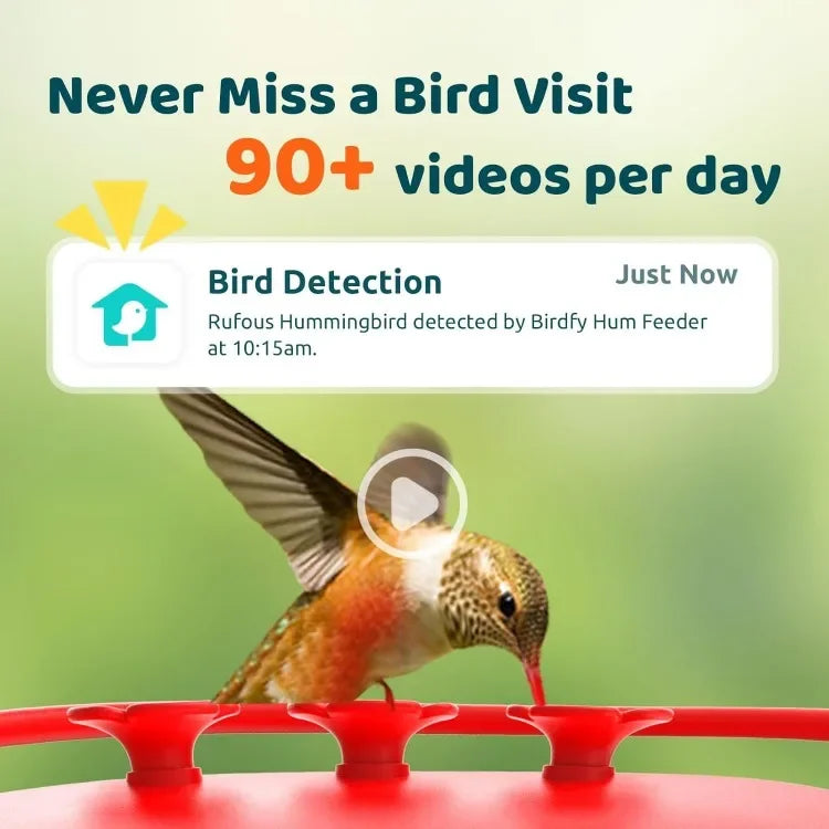 New upgrade. Birdfy AI Hummingbird Feeder with 2 Cameras - Dual Smart Cams, 2K HD Wireless for 2 Angels Close-up Bird Watching O