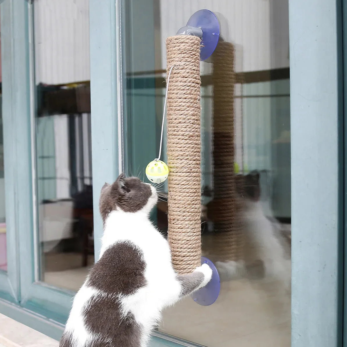 Toy Suction Cup Cat Scratcher