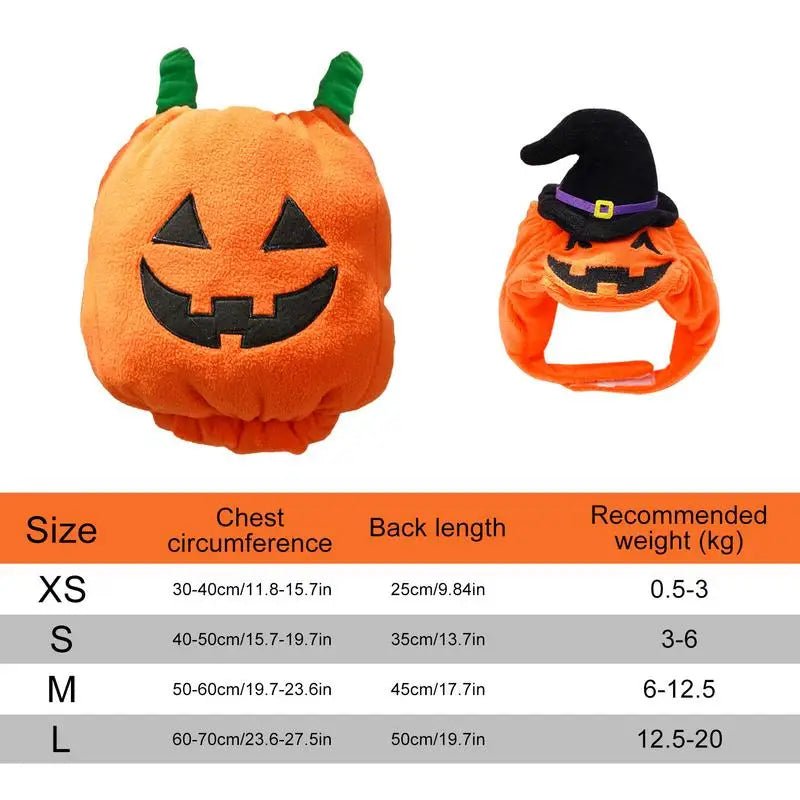 Halloween Cat Dog Costumes Pumpkin