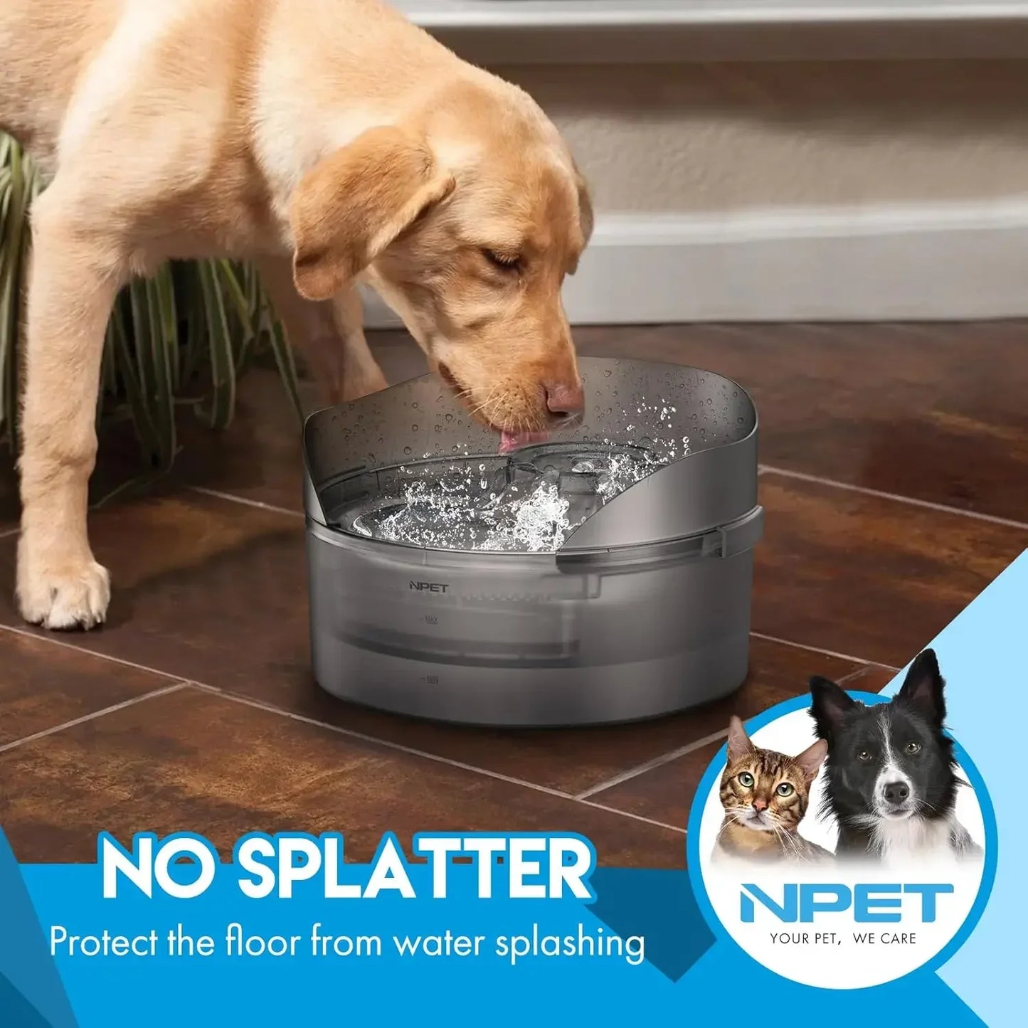 Large Automatic Dog Water Bowl with Splatter Guard