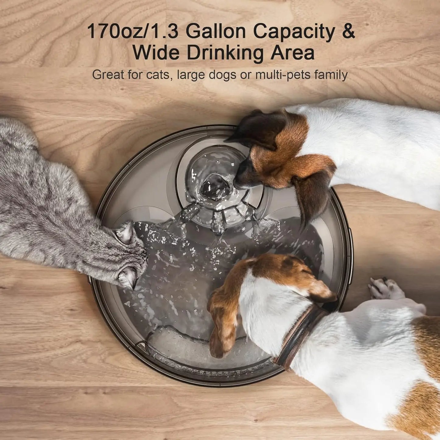 Large Automatic Pet Water