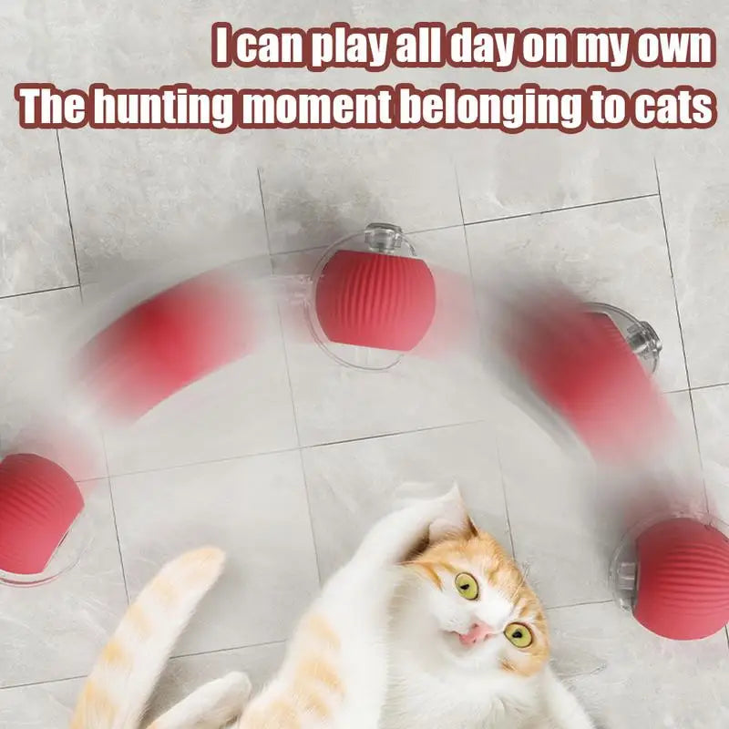 Electric Cat Ball Toys Automatic