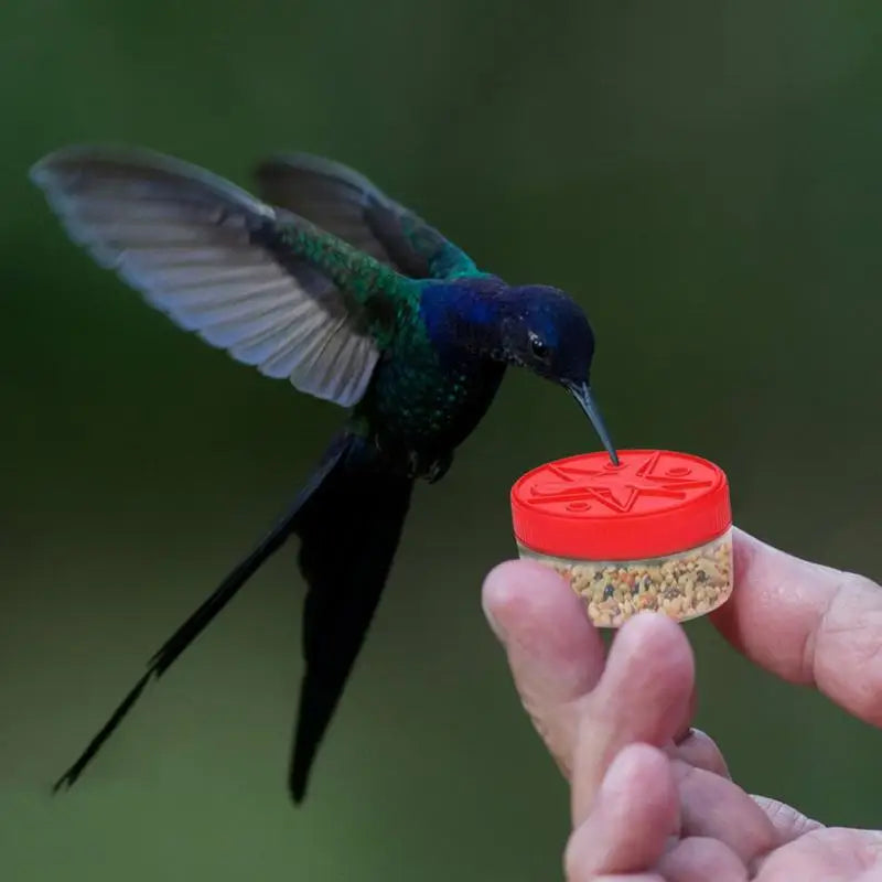 Hand Held Hummingbird Feeder Transparent Portable