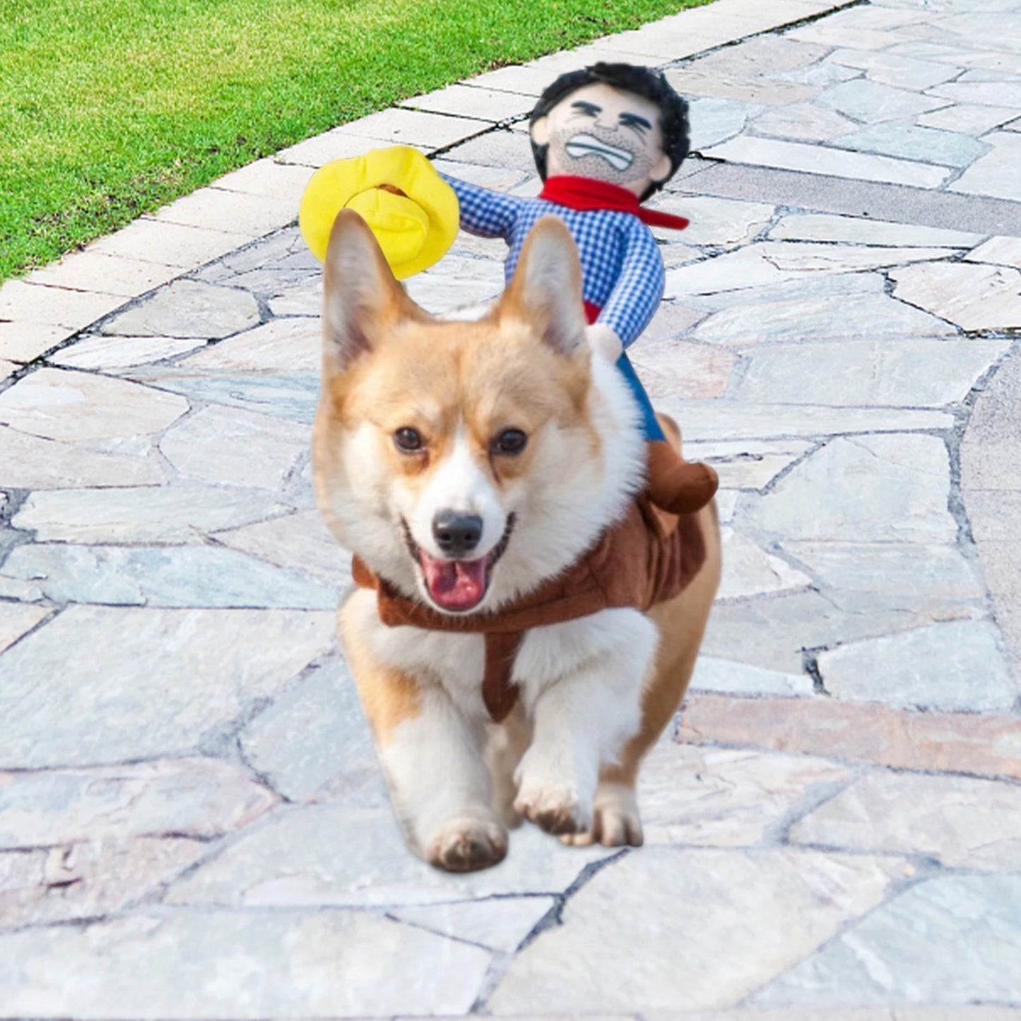 Dog Cowboy Costume With Loop Fasteners Dog Halloween Costumes