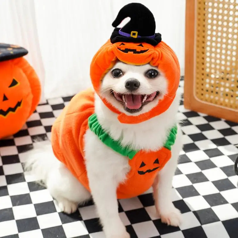 Halloween Cat Dog Costumes Pumpkin