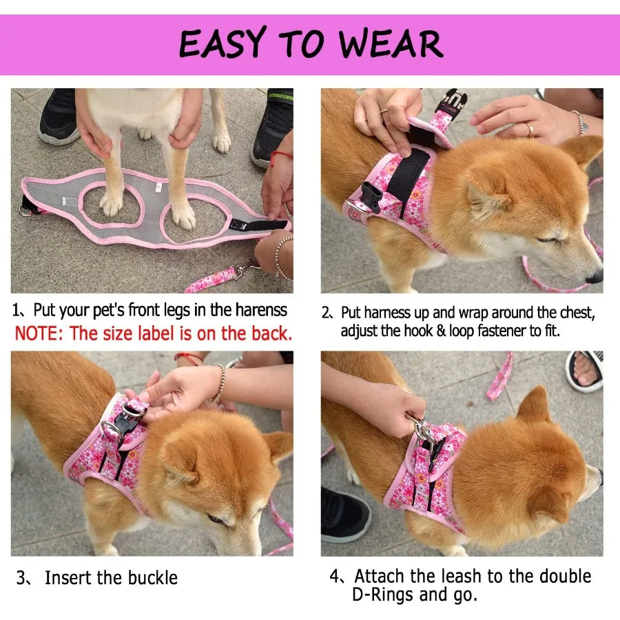 Step in Dog Harness Leash Set for All Weather Use with Reflective Details NoPull Design