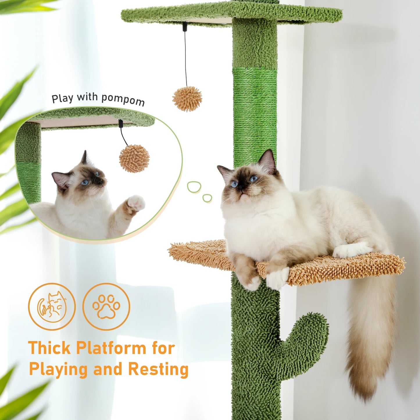 Cat Tree 5-Tier Floor to Ceiling Tall Climbing Tree
