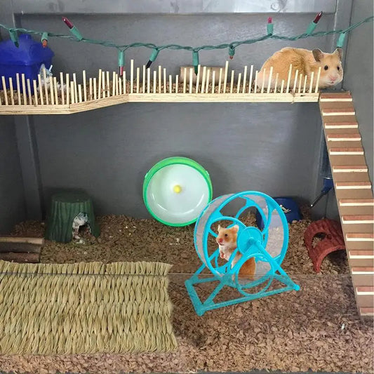 #RunningWheelForPets