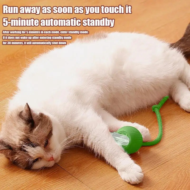 Electric Cat Ball Toys Automatic