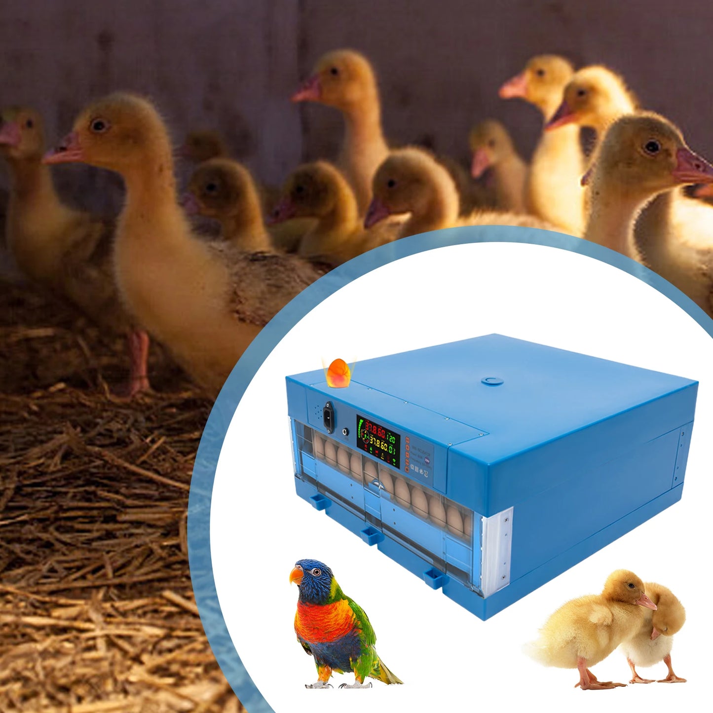 , Multi-Functional Farms Automatic Egg Incubator Machine,Adjustable Humidity,For Hatching Eggs