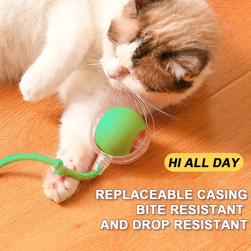 1PCS Cat Interactive Rechargeable Self Rotating Ball