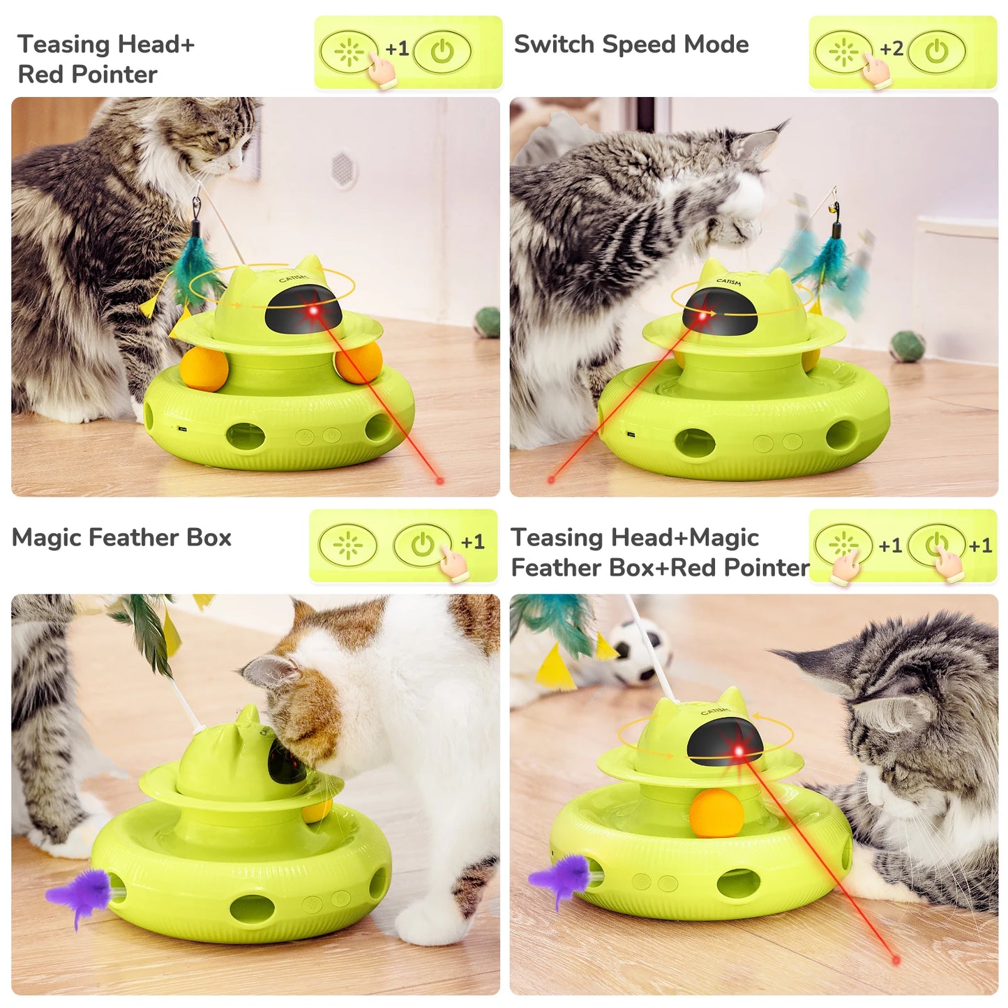 Magic Box Cat Teaser,