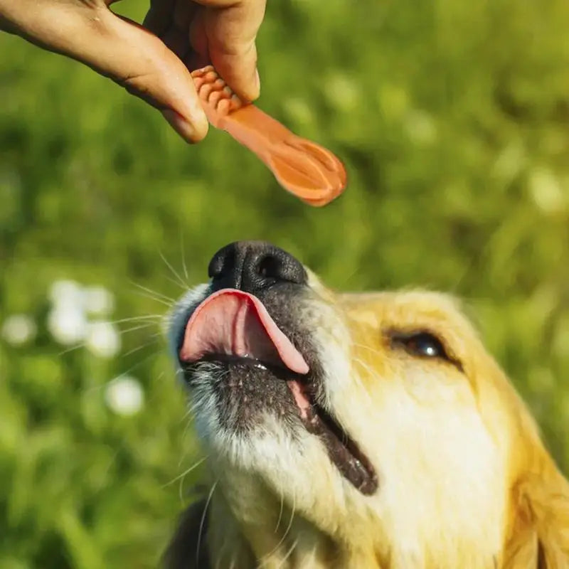 Dog Treats Chew Sticks