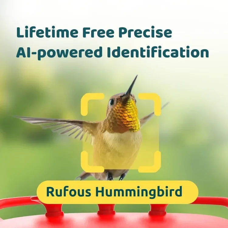 New upgrade. Birdfy AI Hummingbird Feeder with 2 Cameras - Dual Smart Cams, 2K HD Wireless for 2 Angels Close-up Bird Watching O