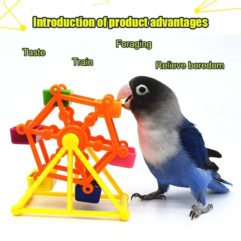 Bird Feeder Rotate Training Toys