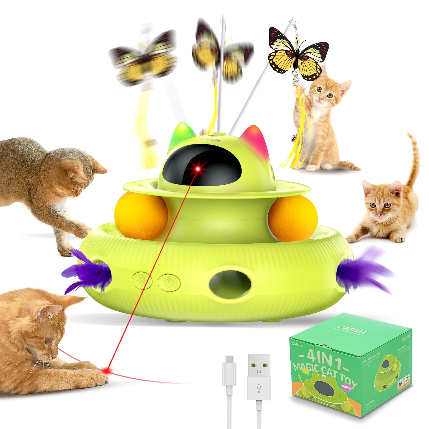 Magic Box Cat Teaser,