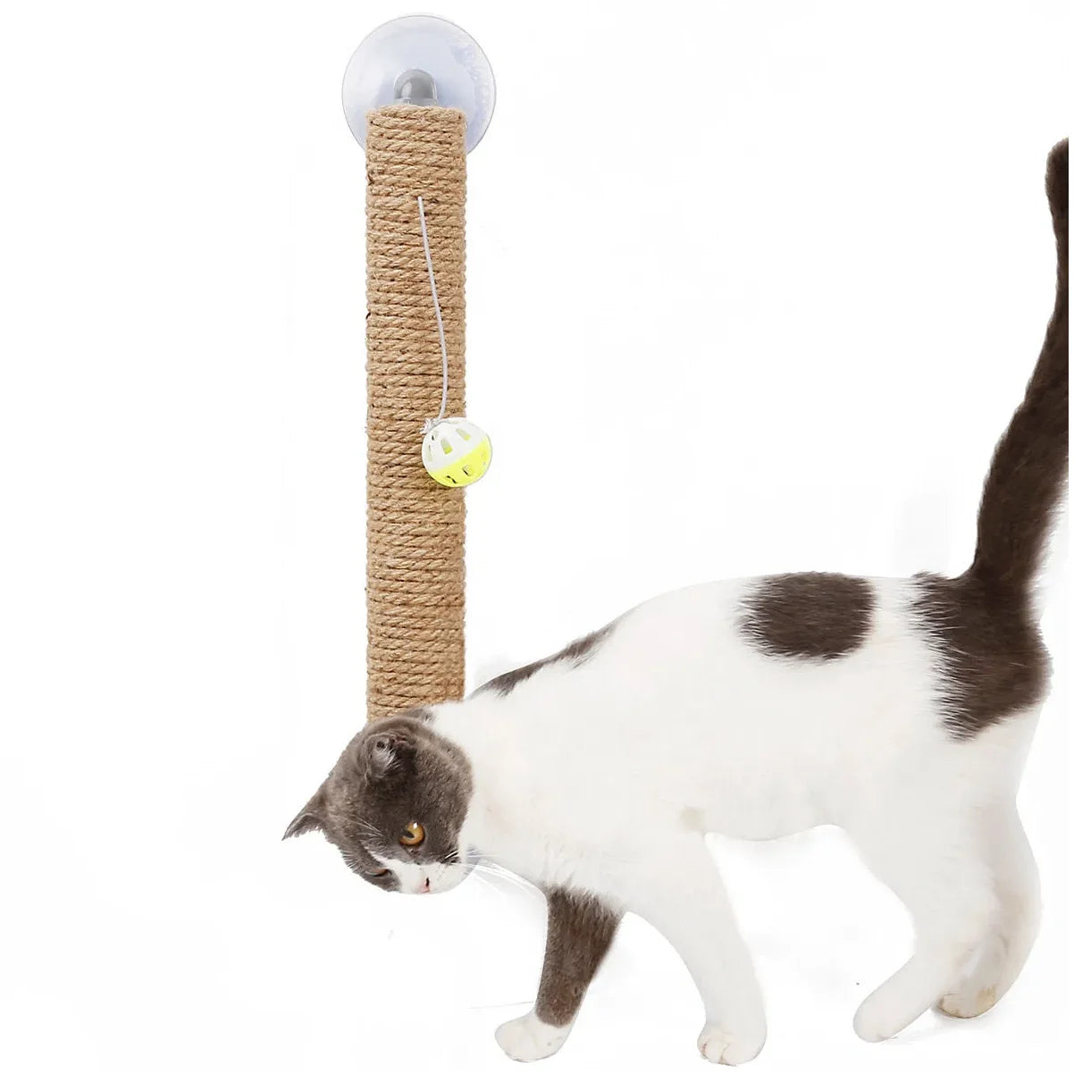 Toy Suction Cup Cat Scratcher