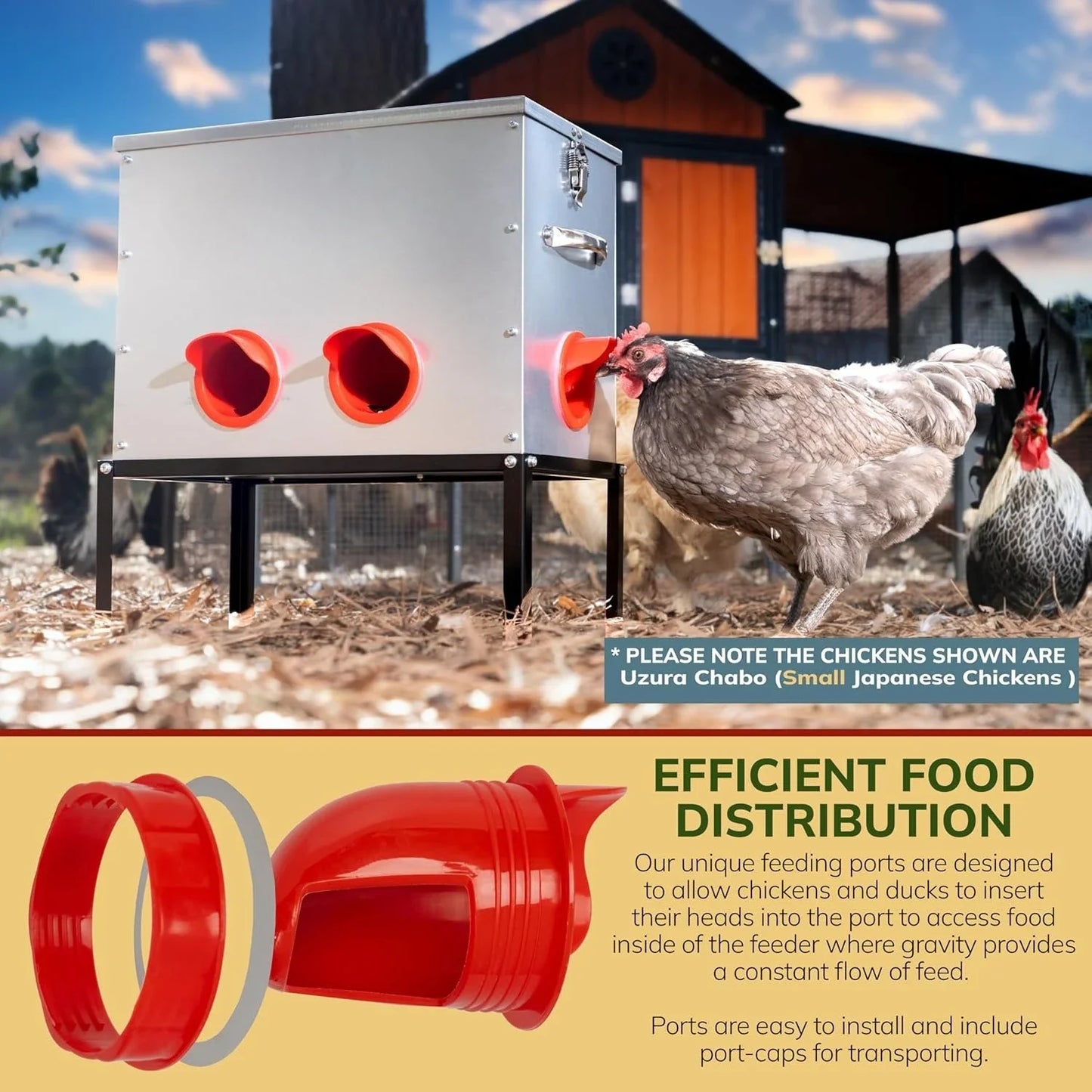 Automatic Chicken Feeder No Waste