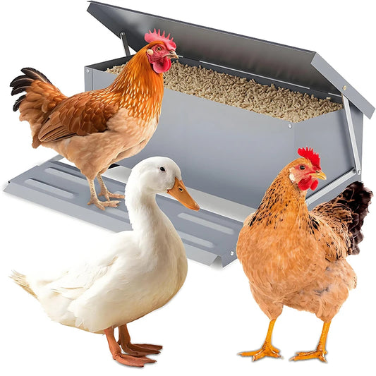Automatic Feeder, Chicken Feed Trough, Poultry Feeding Box,