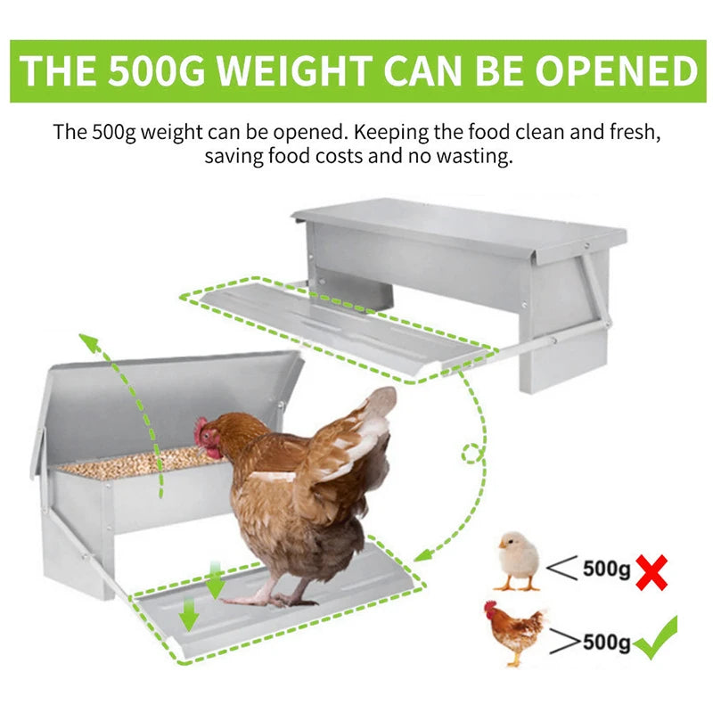 Automatic Feeder, Chicken Feed Trough, Poultry Feeding Box,
