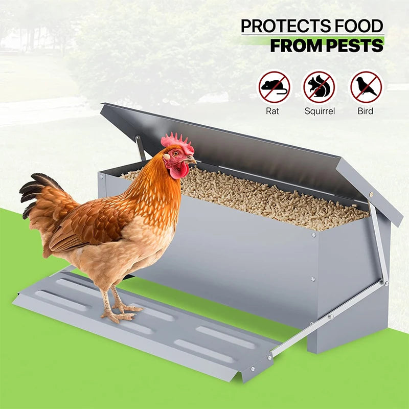 Automatic Feeder, Chicken Feed Trough, Poultry Feeding Box,