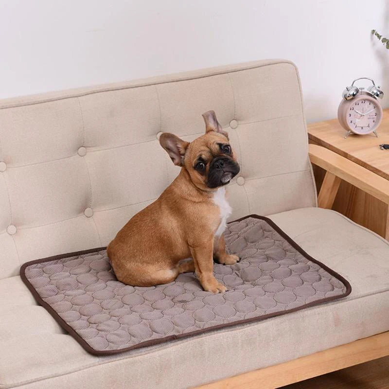 Cooling Mat Extra Large Summer Pet Cold Bed for Small Big Dogs Cat Ice Pad Blanket Pet Accessories