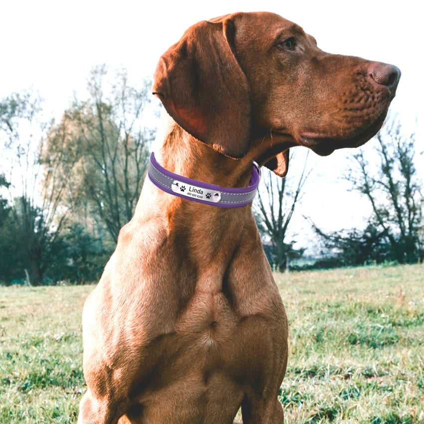 Personalized Dog Collar Leather Reflective Cat Collar Custom Engraved ID Tag Engraved