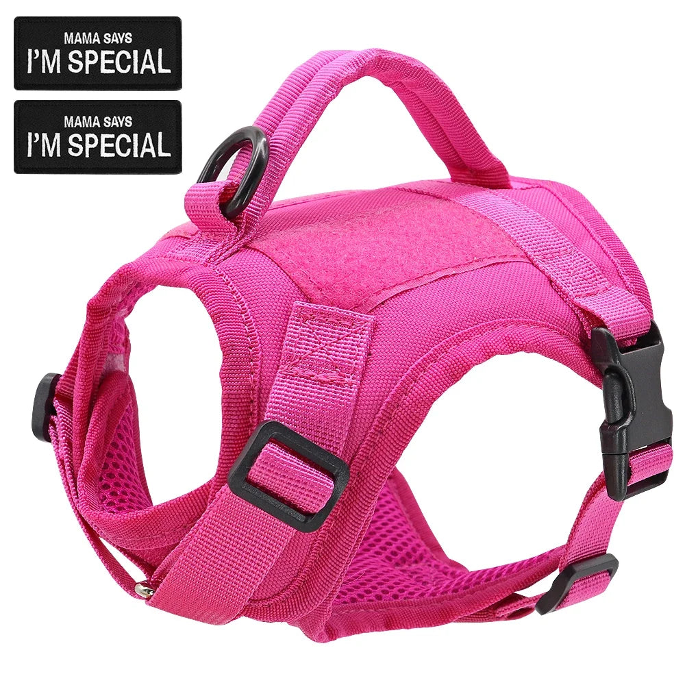 Nylon Cat Harness Vest with 2 Sticker Military Tactical Cats Harness With Handle Cats Small Dogs