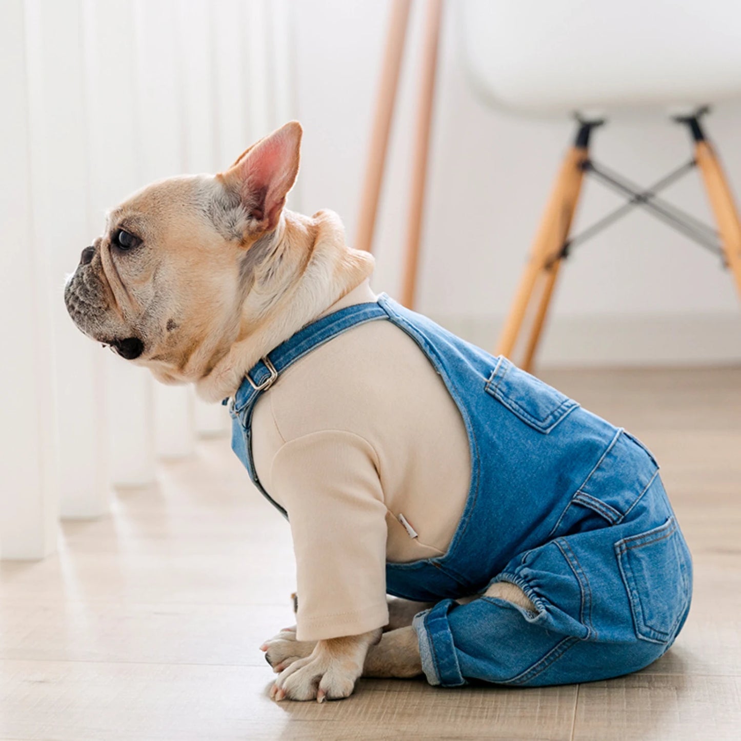 French Bulldog Denim Jumpsuit - Stylish Pet Clothes for All Seasons, Adjustable