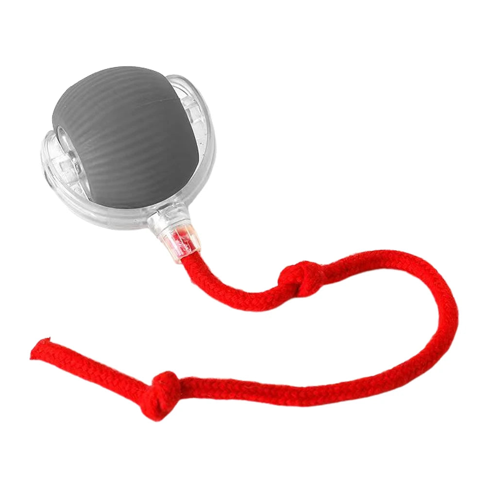 1PCS Cat Interactive Rechargeable Self Rotating Ball