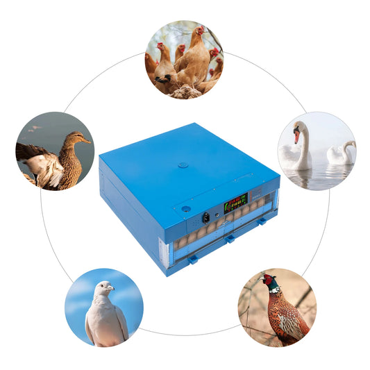 , Multi-Functional Farms Automatic Egg Incubator Machine,Adjustable Humidity,For Hatching Eggs