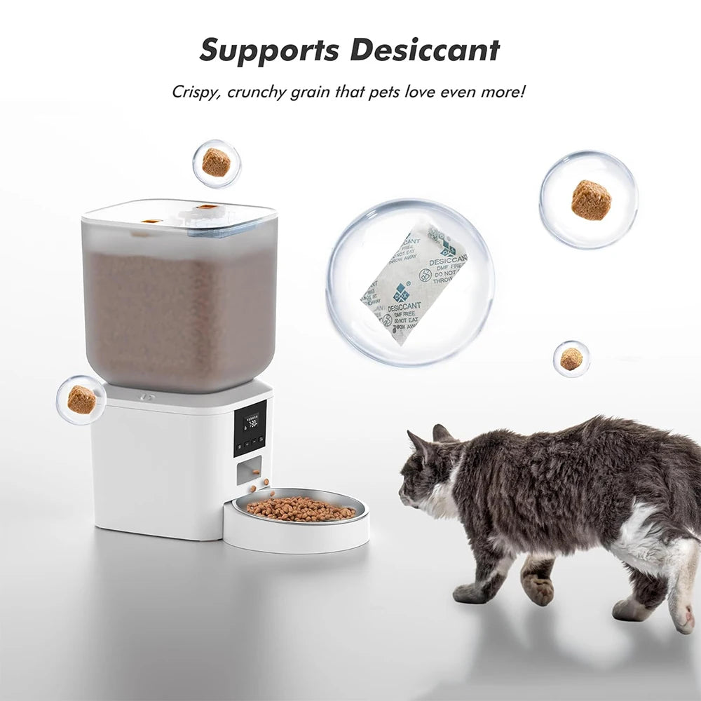 Automatic Cat Dog Feeders with Key Control