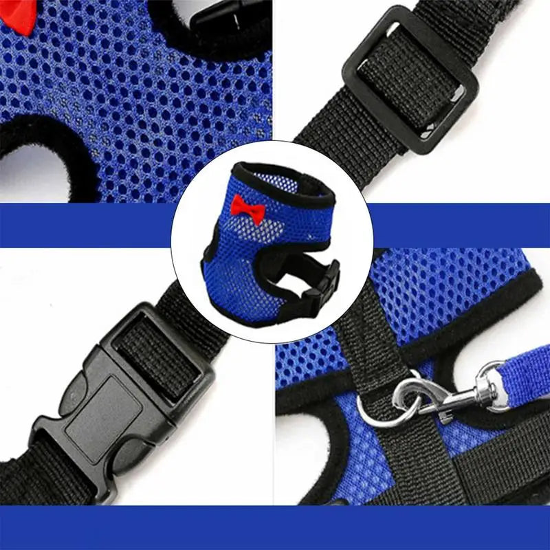 Chicken Harness  Adjustable