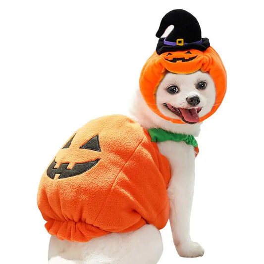 Halloween Cat Dog Costumes Pumpkin