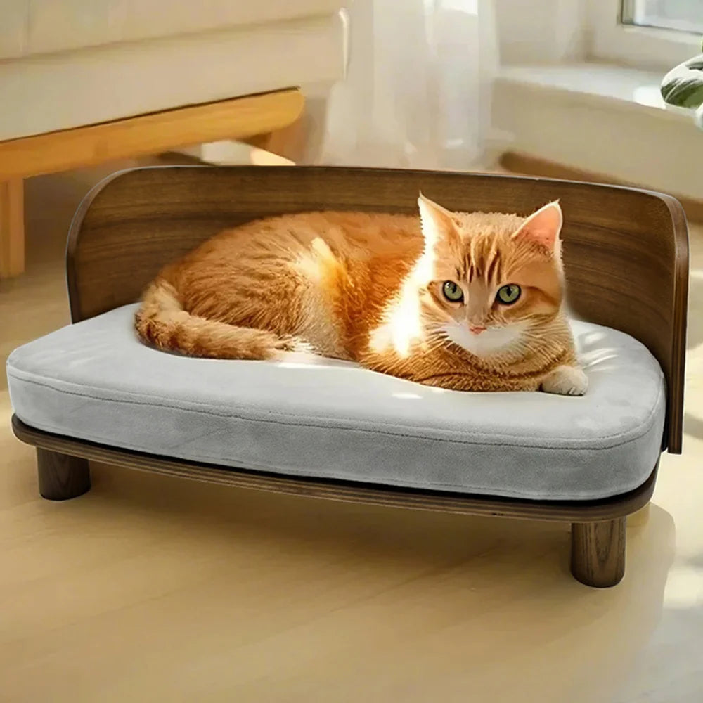 Elevated Dog or Kitten Sofa Bed