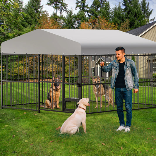 Large Outdoor Dog Kennel with Roof,