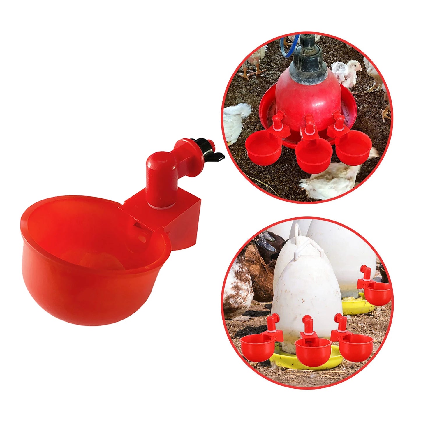 36-1PCS  Drinking Cup Automatic Feeder Poultry