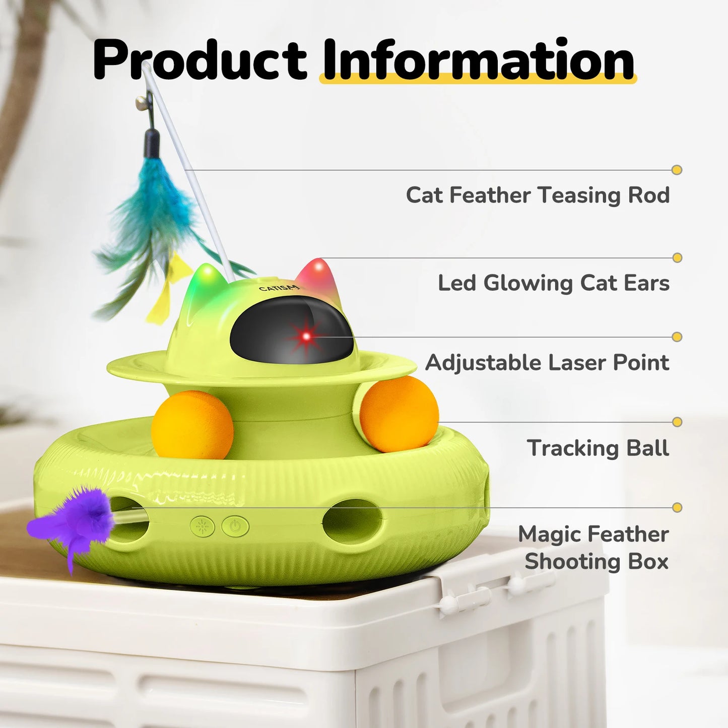 Magic Box Cat Teaser,