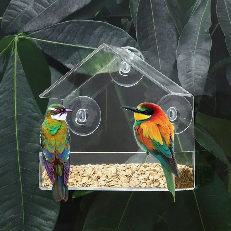 Transparent Window Wild Bird Feeder