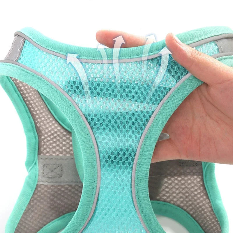 Adjustable Cat Harness Leash Escape Proof Kitten Dog Harness