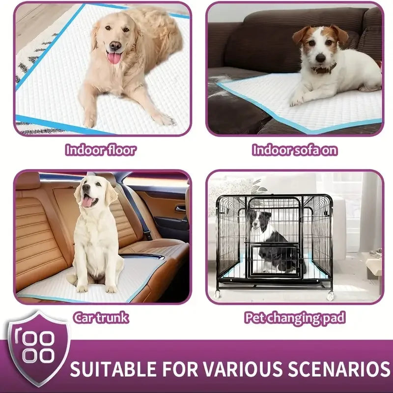 Dog Pee Pads | Various Sizes