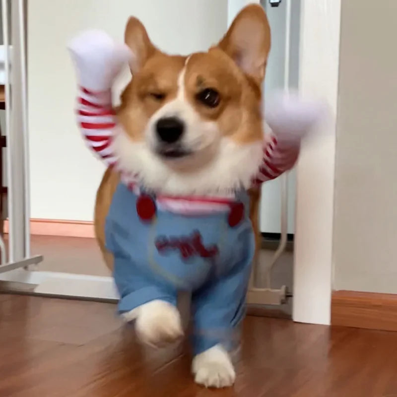 Funny Dog Horror Movie Clothes