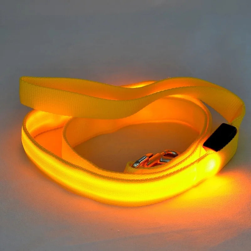 Dog Safety Flashing Glowing Dog Collar Harness Electronic Pet Accessories