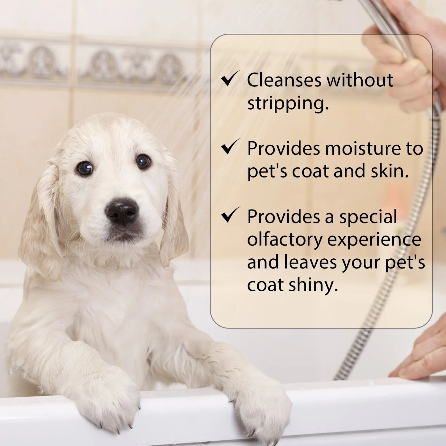 YEGBONG Dog Wash Shampoo: Flea & Mite Killer, Dirt Removal - Anti-Itch, Deodorizing & Moisturizing Formula for Softening Coat