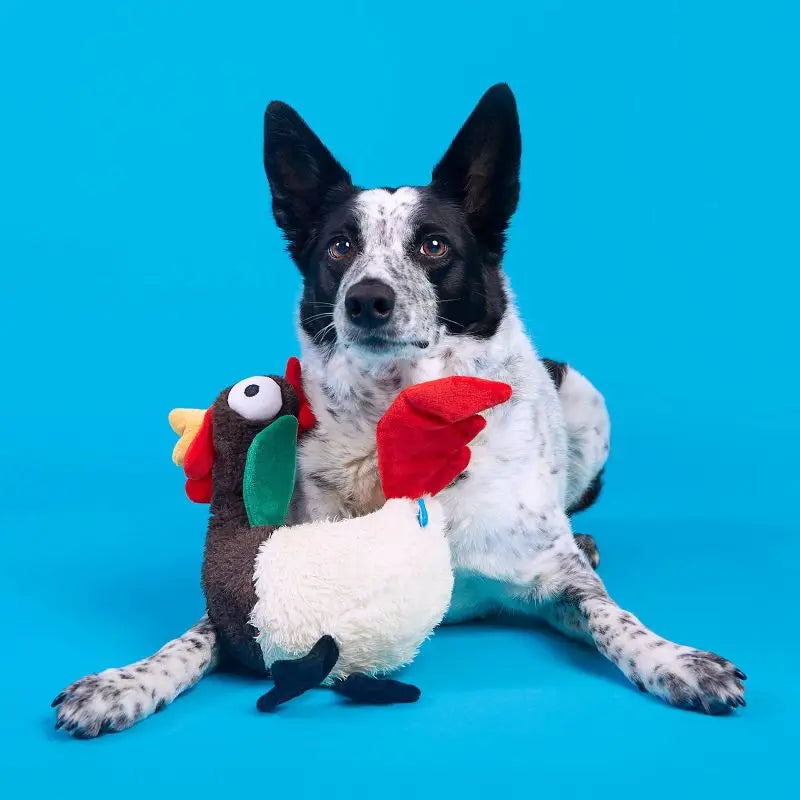 Squeaky Crinkle Rooster Dog Toy for Chewers