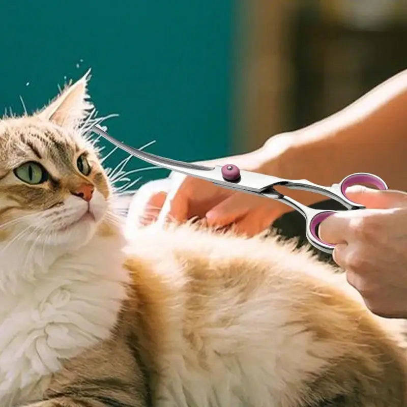 Curved Dog Grooming Scissors Curved Dog Trimmer Trimming Hair Scissors Safety Pet Tool