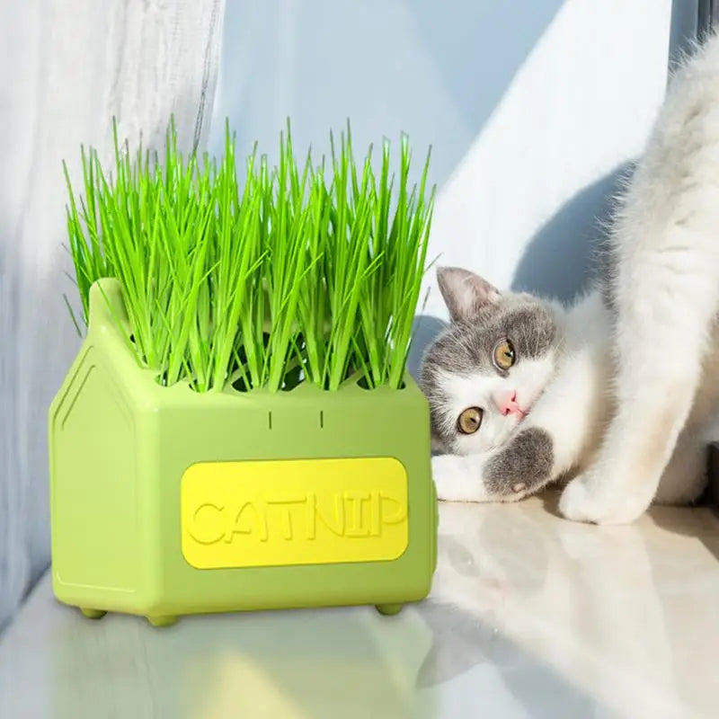 Cat Grass Planter Box Anti Digging Catnip Grass Sprouting Trays Removable