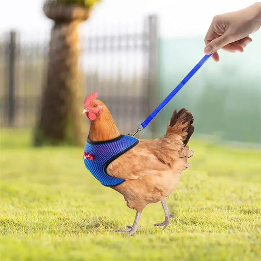 Chicken Harness  Adjustable