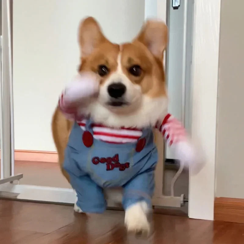 Funny Dog Horror Movie Clothes